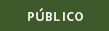 P&uacute;blico